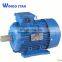 Low Voltage 100 Hp y2 Series Three Phase Induction Ac Electric Motor