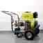 BISON(CHINA) BS-D250 New Design Professional 250Bar Portable Water High Pressure Cleaner For Sale