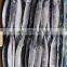 Good Quality Frozen Pacific Saury whole round