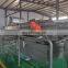 Automatic Ozone Celery Cabbage Green Onions Fruit Washing Cleaning Machine Vegetable Washer