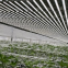 Indoor growing-enhanced efficacy hassle-free Inter-locking led grow module for plant indoor growing