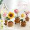crochet flowers and plant pots