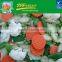 IQF frozen mixed vegetables with different vegetables