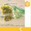 good quality and hot sale yello eggplant and ternip mesh bags