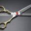 Right-Handed Scissors Style and Hair Application Thinning Scissors