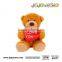 OEM/ODMcustom Plush Toy the Graduation Teddy Bear