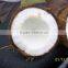 Fresh Matured Semi Husked Coconut