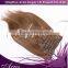 11A grade virgin human clip in hair extension