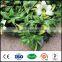 cheap plastic outdoor artificial plastic single roses flowers