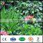 UV protected plastic artificial green garden leaf fence