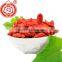 Berry goji organic goji berries wholesale