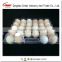 Best Quality disposable plastic eggs tray plastic quail egg container 12 cells holes