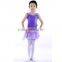 C2154 purple Girls Dance Dress with attched chiffon skirt Ballet Costume