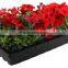 Seed Starter Kit Humidity Dome Hydroponic Heat Mat Seed Germination Box