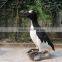 Animatronic Animal Great Auk for Sale