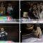 Wifi water-proofed touch screen China factory 42 inch HD TFT intelligent touch table