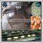Stainless Steel Chicken Egg Peeling Machine for Best Price