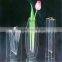 Vases clear blue oval