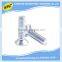China OEM manufacturer high precision phillips stainless steel self tapping screw