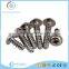 Tapping steel phillips pan washer head screw
