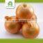 Hot selling chinese yellow onions with great price