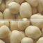 50/60 BLANCHED GROUNDNUT KERNEL FROM INDIA