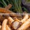 frozen horseradish product
