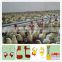 drinkers/red poultry feeders/plastic poultry feeders and drinkers