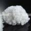 Raw white polyester fiber HCS 7dx64mm fiber for pillow
