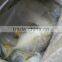 frozen fish golden pomfret