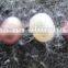 Wish pearl and love pearl gift jewelry (beige) English version