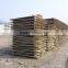 Paulownia Boards , Paulownia FJ Board