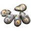 Wholesale jewelry natural abalone shell pendant