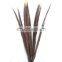 Wholesale Carnival Natural Pheasant Feather