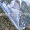 Polytunnel Poly Tunnel Greenhouse With Film Covers and Windows
