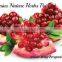 super quality pome seeds largest exporters