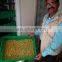 Best quality good automatic green barley hydroponic fodder machine