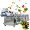 Industrial vegetable fruit washing machine vegetable  processing line fruit washer vegetable washing machine