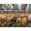 Low cost steel structures cow farm building
