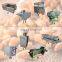 cashew nuts packing roasting nut sorting peeling machine