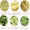 Multifunctional  Industrial  Root vegetable cutting machine Electric dicing machine vegetable cutter slicer machine