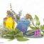 ?therisches ?l-Destillationsanlage Destillationsmaschine