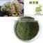Food grade green seaweed ulva flakes ao-nori