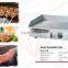 Well Designed Commercial Portable Electric Hot Plate 3000w