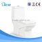 Siphonic one piece toilet bowl accessories