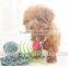 Wireless Smart Bluetooth 4.0 Anti Lost Alarm Self-Timer for iPhone Samsung Bluetooth Key Finder Phone Pets