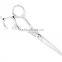 Professional Hair Scissors SM