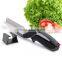 Clever Cutter 2-in-1 Food Chopper - Replace your Kitchen Knives and Cutting Boards