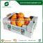 CARDBOARD BOX FOR FRUIT AND VEGETABLE