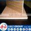 hot sale first class color plywood